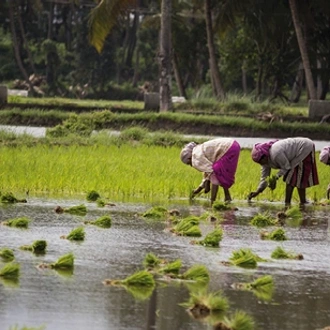 tourhub | Saga Holidays | South India - Temples and Waterways 