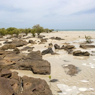 tourhub | Intrepid Travel | Dampier Peninsula & the Kimberley Coast  