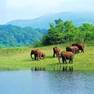 tourhub | Holidays At | Tour of Kerala 