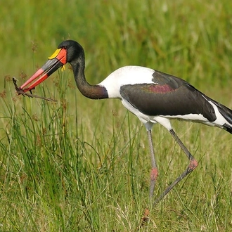 tourhub | Verdoro Safaris | Queen Elizabeth National Park 