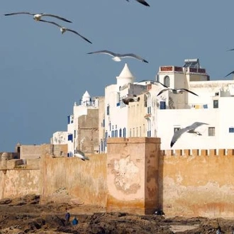 tourhub | On The Go Tours | Classical Morocco - 14 days 