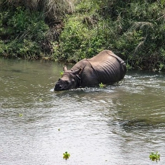 tourhub | Liberty Holidays | 3-Day Chitwan Jungle Safari Tour from Kathmandu 