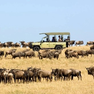 tourhub | Widerange African Safaris | 7 Days Tanzania mid-range Lodge Safari - Serengeti Migration Safari 