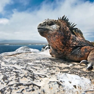 tourhub | Rebecca Adventure Travel |  4-Day Galapagos Island Hopping Tour: Isabela, Boat Tours and Airport Transfer 