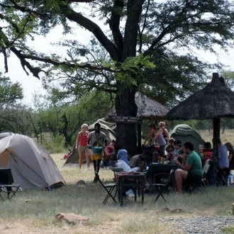 tourhub | Gracepatt Ecotours Kenya | 14-Days Kenya and Tanzania Camping Safari from Nairobi 