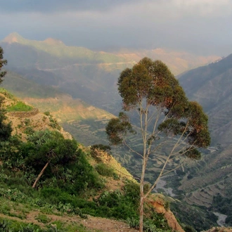 tourhub | Undiscovered Destinations | Eritrea Discovery 