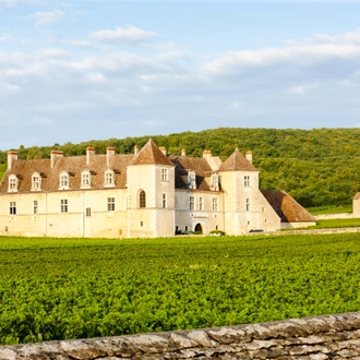 tourhub | Exodus Adventure Travels | Gourmet Walking in Burgundy's Vineyards 