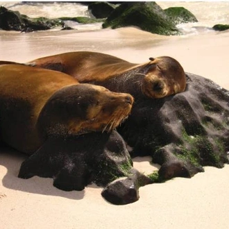 tourhub | World Expeditions | Galapagos Islands: Bays & Beaches aboard Origin, Theory & Evolve 