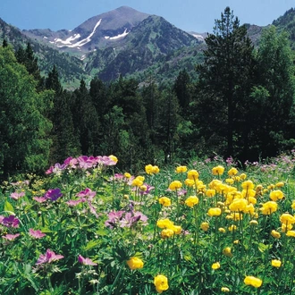 tourhub | Explore! | Walking in the Pyrenees 