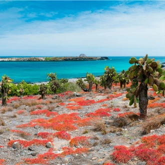 tourhub | Intrepid Travel | Galapagos at a Glance: Southern Islands (Grand Daphne) 