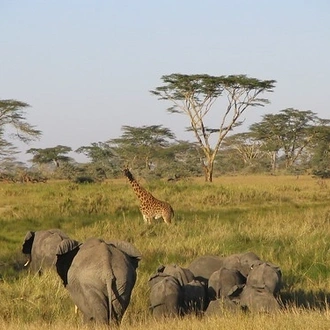 tourhub | Widerange African Safaris | 2 days Tanzania  Camping Group Sharing safari package 