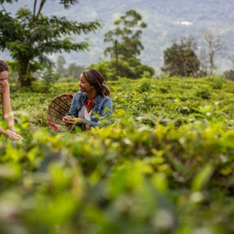 tourhub | G Adventures | Sri Lanka: Spice Gardens & Seasides 