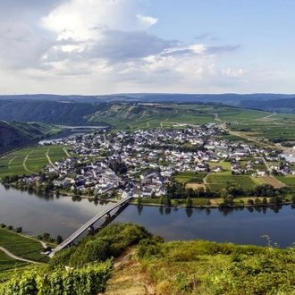 Delights of the Rhine to the Danube