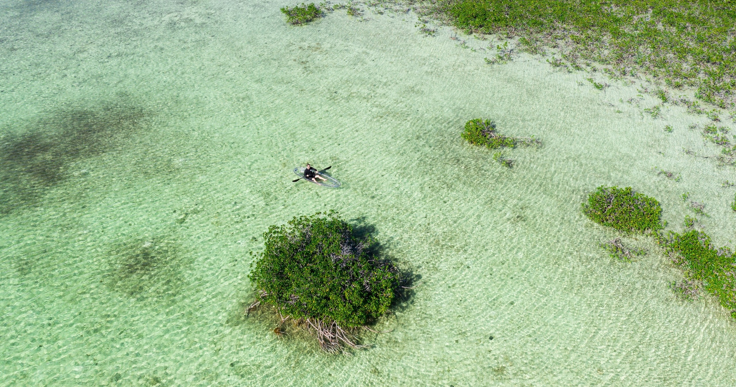 Clear Kayak Tour of Sugarloaf Key image 12