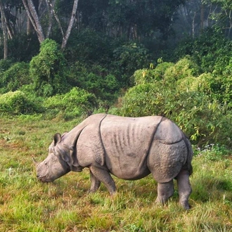 tourhub | Panda Experiences | Historical India and Nepal 