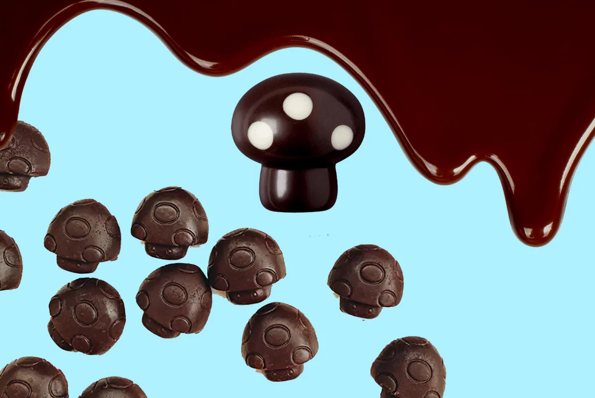 Mushroom Chocolates Are The New Way To Trip | Buy Psilocybin Magic Mushroom Online Canada