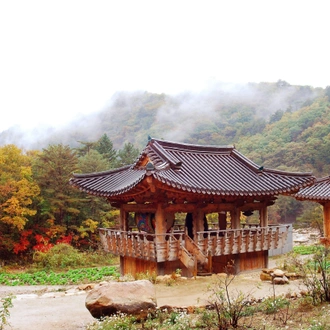 tourhub | Bamba Travel | South Korea Golden Route 8D/7N 