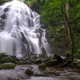 tourhub | G Adventures | Costa Rica: Rio Celeste & Rincon de la Vieja 