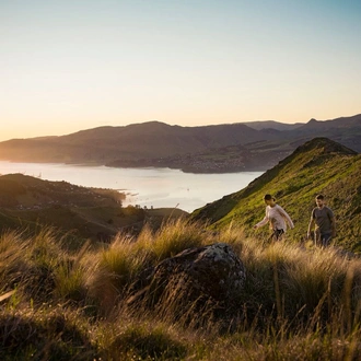 tourhub | Heritage Expeditions | New Zealand Coastal Odyssey 