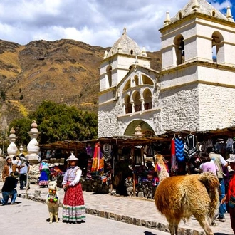 tourhub | Bamba Travel | Colca Canyon Sightseeing Tour 2D/1N & Transfer to Puno 