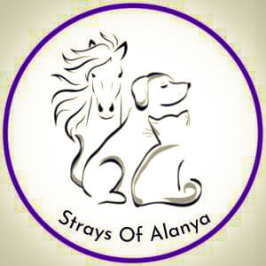 Strays of Alanya logo