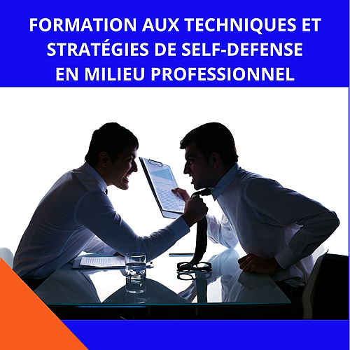 Représentation de la formation : FORMATION AUX TECHNIQUES ET STRATÉGIES DE SELF-DÉFENSE EN MILIEU PROFESSIONNEL