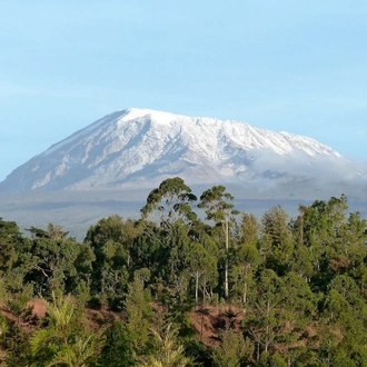 tourhub | OneSeed Expeditions | Kilimanjaro Marangu Route 