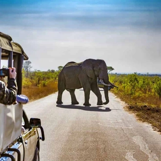 tourhub | Travel Department | Explore South Africa including Kruger National Park 