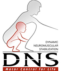 Représentation de la formation : DNS Pédiatrie niveau 1