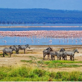 tourhub | Exodus Safaris | 6-Day Kenya Luxury Safari Package: Amboseli, Flight to Masai Mara, Lake Nakuru 