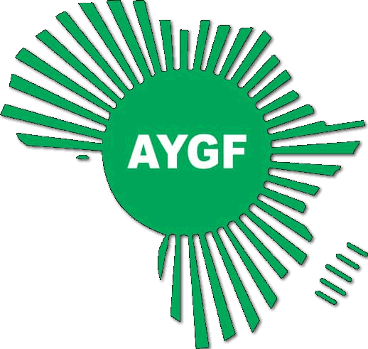 Africa Youth Growth Foundation