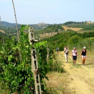 tourhub | UTracks | Via Francigena: Best of Tuscany 