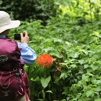 tourhub | Alaitol Safari | 10 Day Kilimanjaro Climb - Lemosho Route 