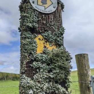 tourhub | Adventure Tours UK | Self-guided Offa’s Dyke Path: Mid 