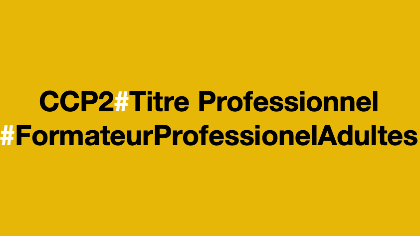 Représentation de la formation : Titre Professionnel Formateur Professionnel d'Adultes Titre RNCP37275 - 2023 - CCP 2