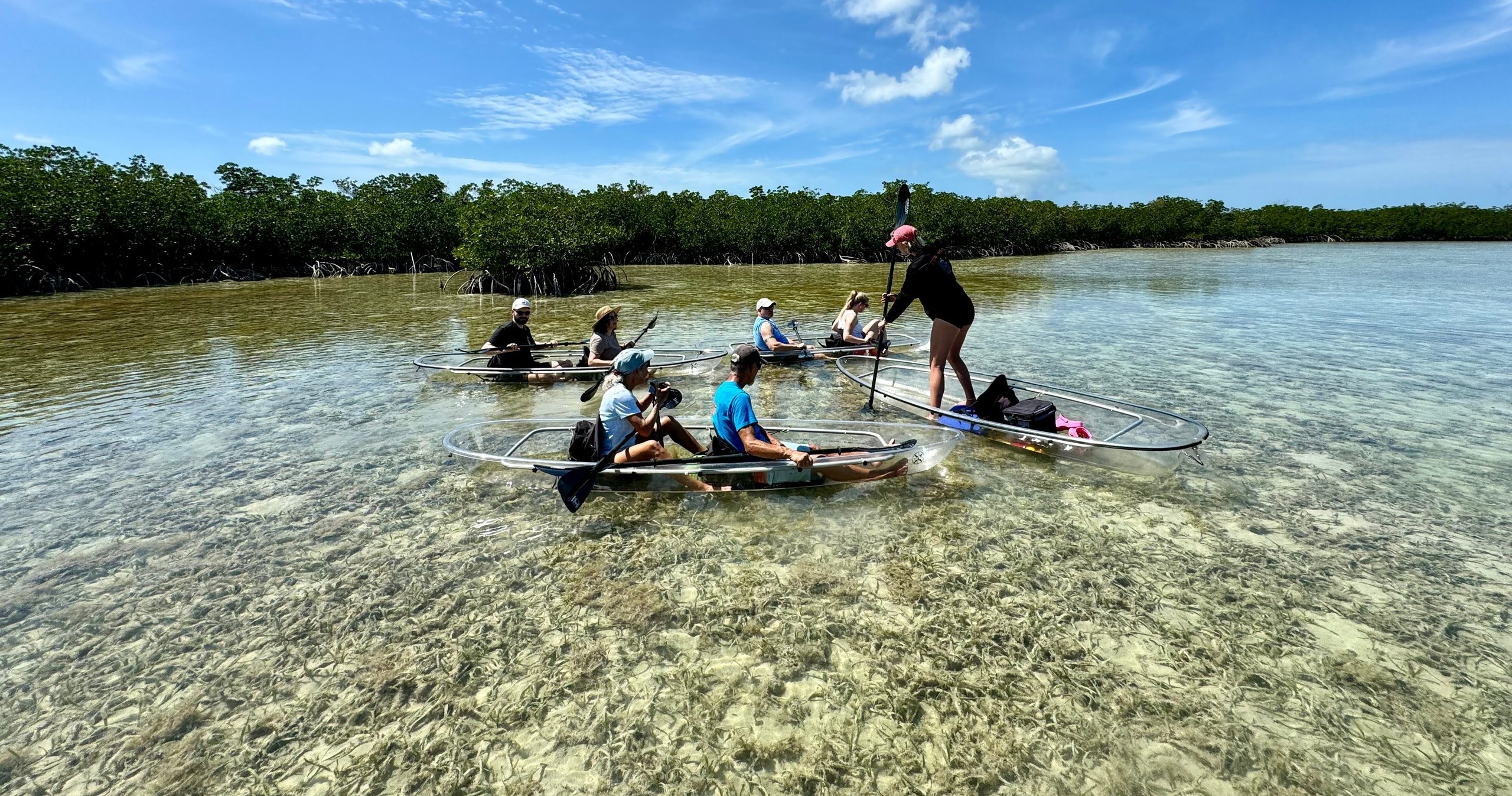 Clear Kayak Tour of Sugarloaf Key image 9