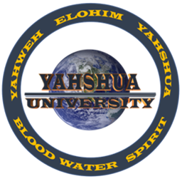 Yahshua University logo