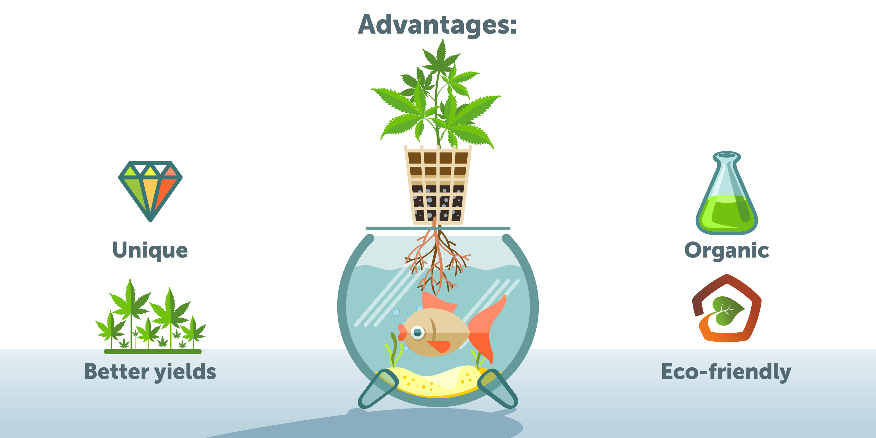 Pros Of Growing Cannabis With An Aquaponics System