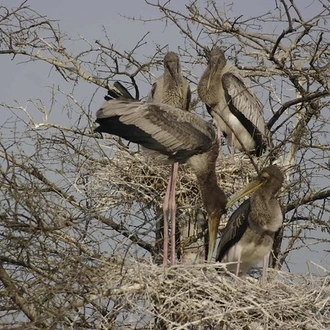 tourhub | Agora Voyages | Delhi to Agra & Bharatpur Birdwatching Excursion 