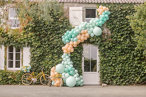 Représentation de la formation : 7. Immersion dans l'univers de la décoration ballons orientée organique