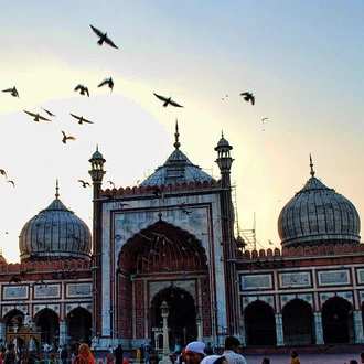 5-Days Luxury Private  Golden Triangle Tour from Delhi Includes,Hotel,Guide & On Board WiFi