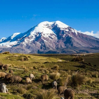 Darwin's Ecuador: Andes to Galapagos