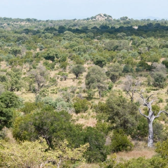 tourhub | Timeline Travel | Kruger National Park and Panorama Route 