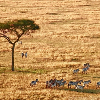 tourhub | Across Africa Tours Travel | Tanzania and Kenya Safari for Seniors 10Days/9Nights 