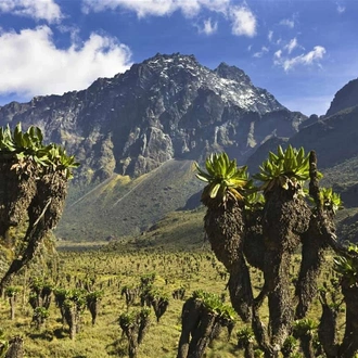 tourhub | Trek Rwenzori Tours | Rwenzori Mountain Uganda 