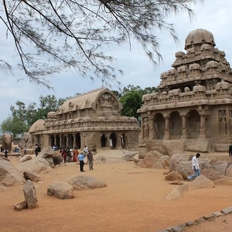 tourhub | Agora Voyages | Bangalore to Cochin South India Temple & Backwater 