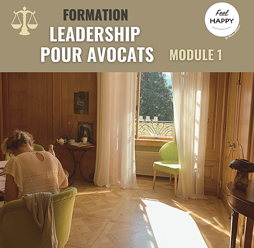 Représentation de la formation : Leadership pour avocats - module 1