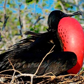 tourhub | Latin Trails | Galapagos Northern and Southern Islands Cruise 