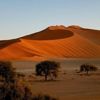 tourhub | Across Africa Tours Travel | 7 Days / 6 Nights Sossusvlei, Swakopmund and Etosha National Park ( Comfort) 