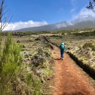 tourhub | OneSeed Expeditions | Kilimanjaro Marangu Route 